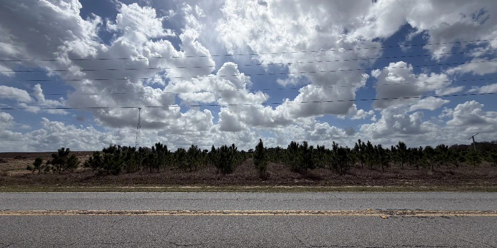 9.65± Acres on Friedlander Rd | Lake Wales- Polk County | Rural Homesite / Ag / Recreation