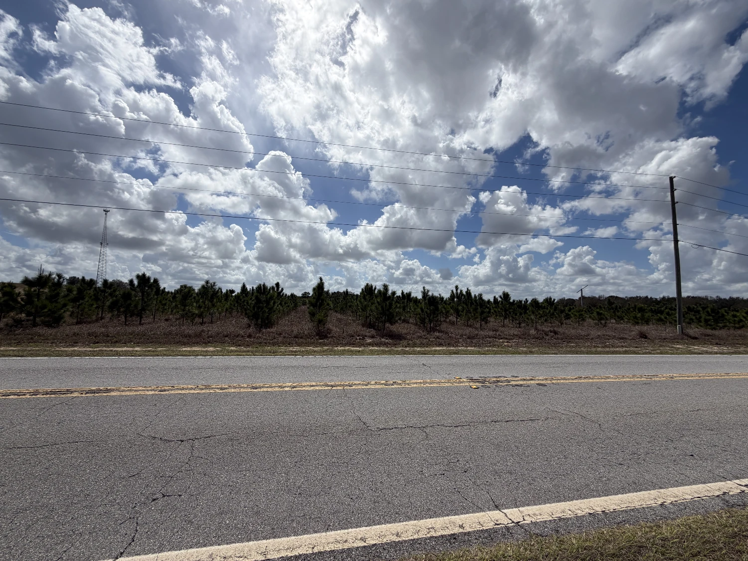 9.65± Acres on Friedlander Rd | Lake Wales- Polk County | Rural Homesite / Ag / Recreation