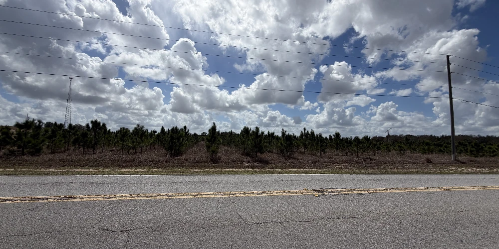 9.65± Acres on Friedlander Rd | Lake Wales- Polk County | Rural Homesite / Ag / Recreation