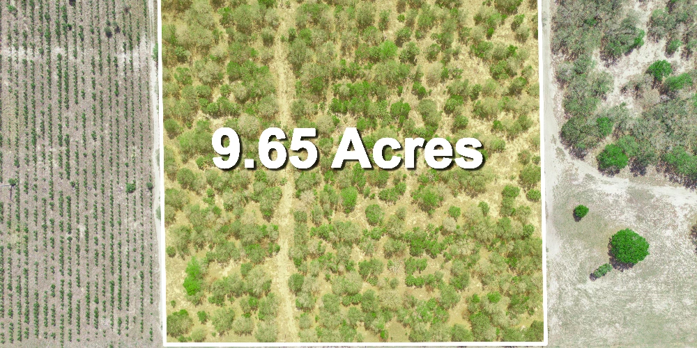 9.65± Acres on Friedlander Rd | Lake Wales- Polk County | Rural Homesite / Ag / Recreation