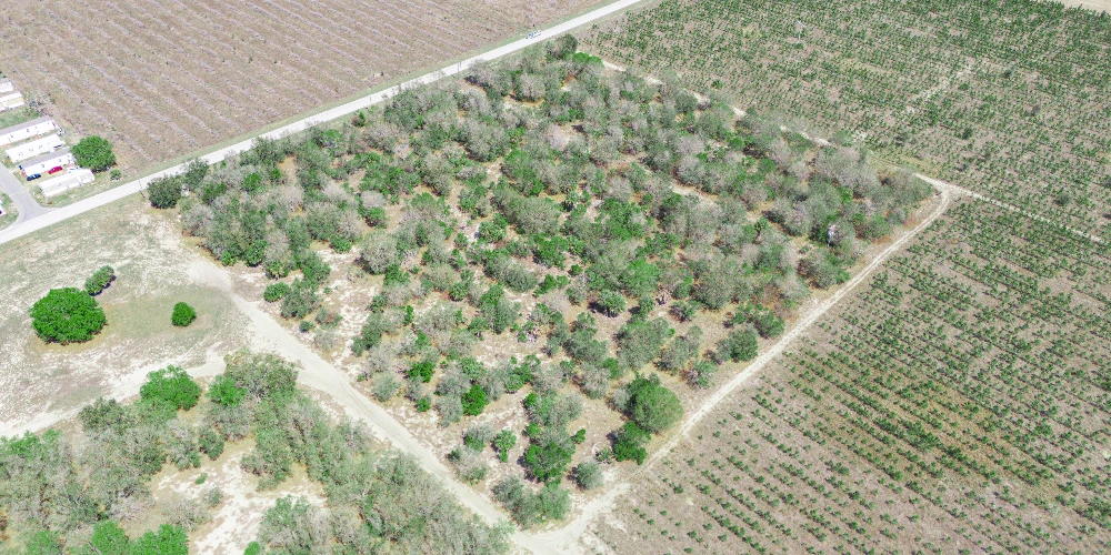 9.65± Acres on Friedlander Rd | Lake Wales- Polk County | Rural Homesite / Ag / Recreation