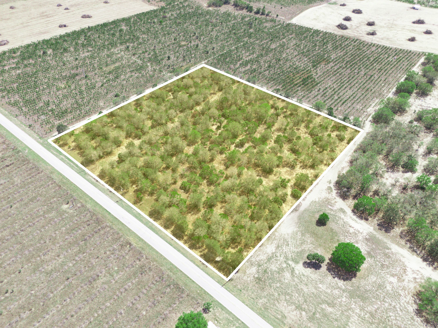 9.65± Acres on Friedlander Rd | Lake Wales- Polk County | Rural Homesite / Ag / Recreation