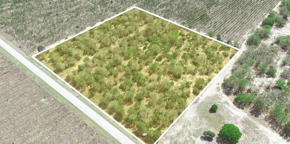 9.65± Acres on Friedlander Rd | Lake Wales- Polk County | Rural Homesite / Ag / Recreation