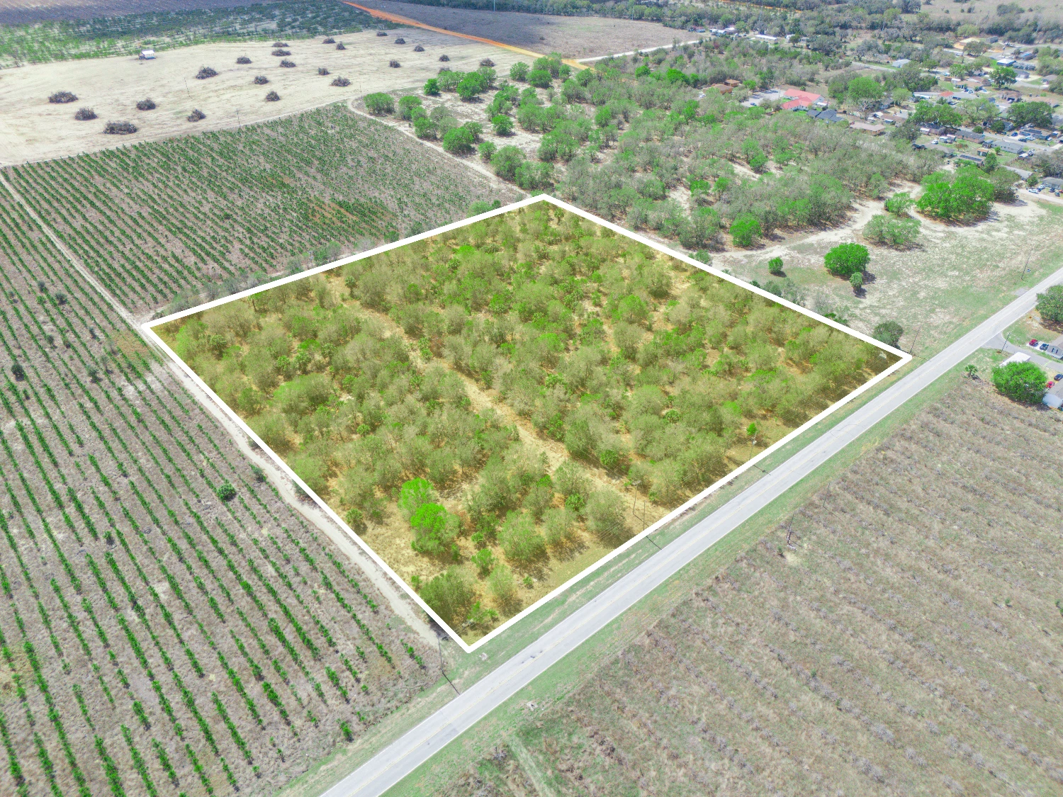 9.65± Acres on Friedlander Rd | Lake Wales- Polk County | Rural Homesite / Ag / Recreation