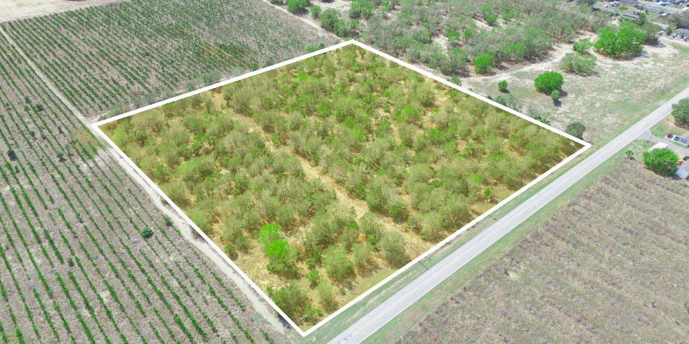 9.65± Acres on Friedlander Rd | Lake Wales- Polk County | Rural Homesite / Ag / Recreation