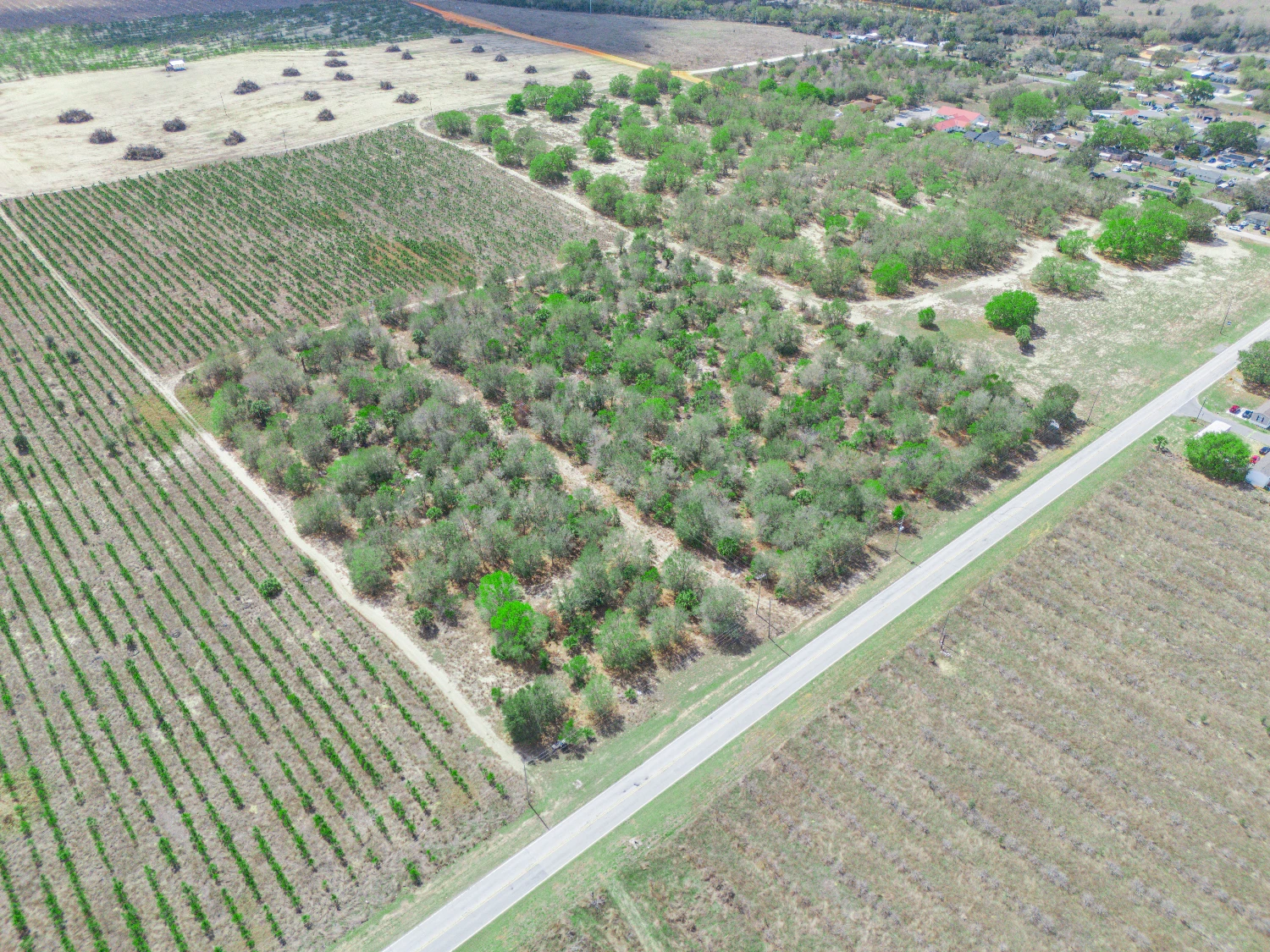 9.65± Acres on Friedlander Rd | Lake Wales- Polk County | Rural Homesite / Ag / Recreation
