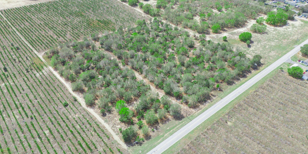9.65± Acres on Friedlander Rd | Lake Wales- Polk County | Rural Homesite / Ag / Recreation