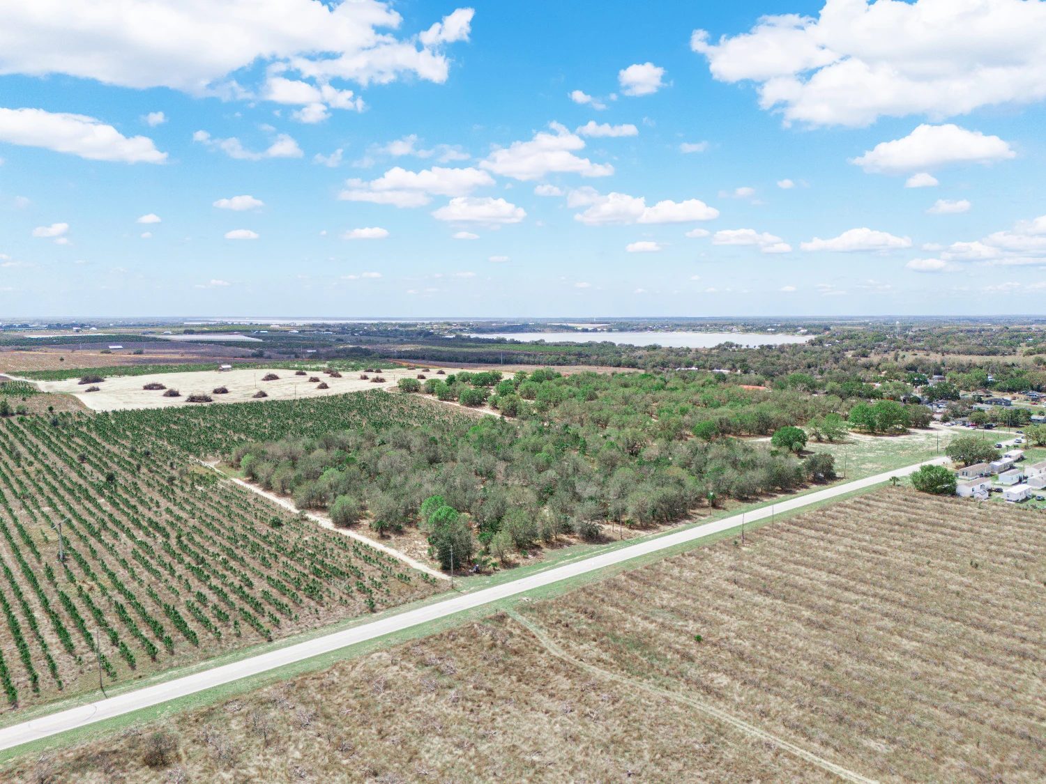 9.65± Acres on Friedlander Rd | Lake Wales- Polk County | Rural Homesite / Ag / Recreation