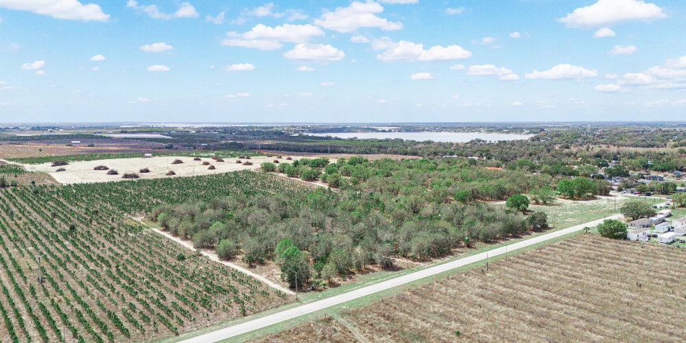 9.65± Acres on Friedlander Rd | Lake Wales- Polk County | Rural Homesite / Ag / Recreation