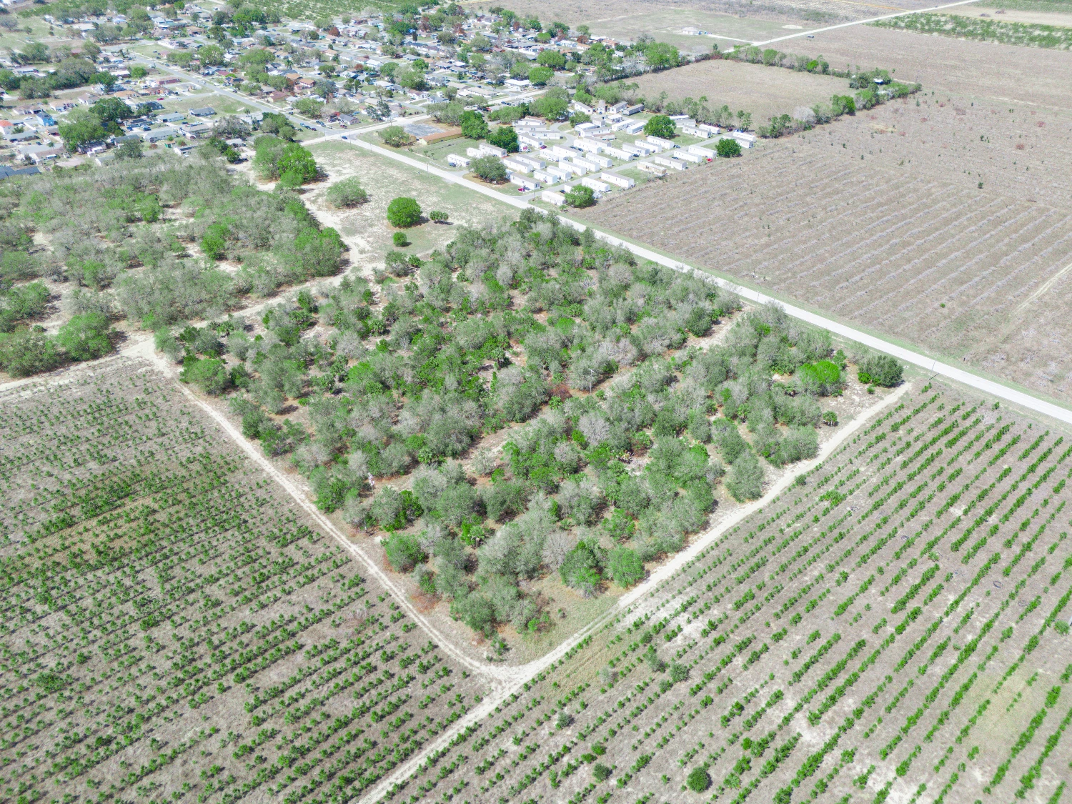 9.65± Acres on Friedlander Rd | Lake Wales- Polk County | Rural Homesite / Ag / Recreation