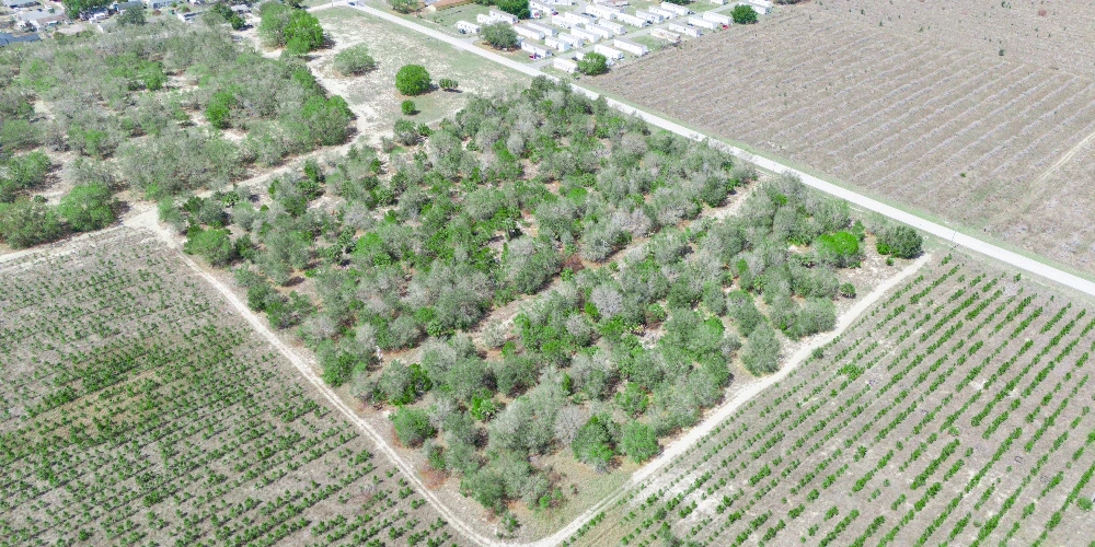 9.65± Acres on Friedlander Rd | Lake Wales- Polk County | Rural Homesite / Ag / Recreation