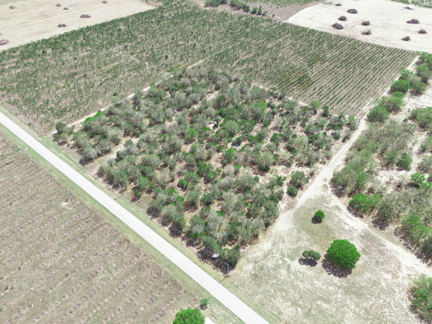 9.65± Acres on Friedlander Rd | Lake Wales- Polk County | Rural Homesite / Ag / Recreation