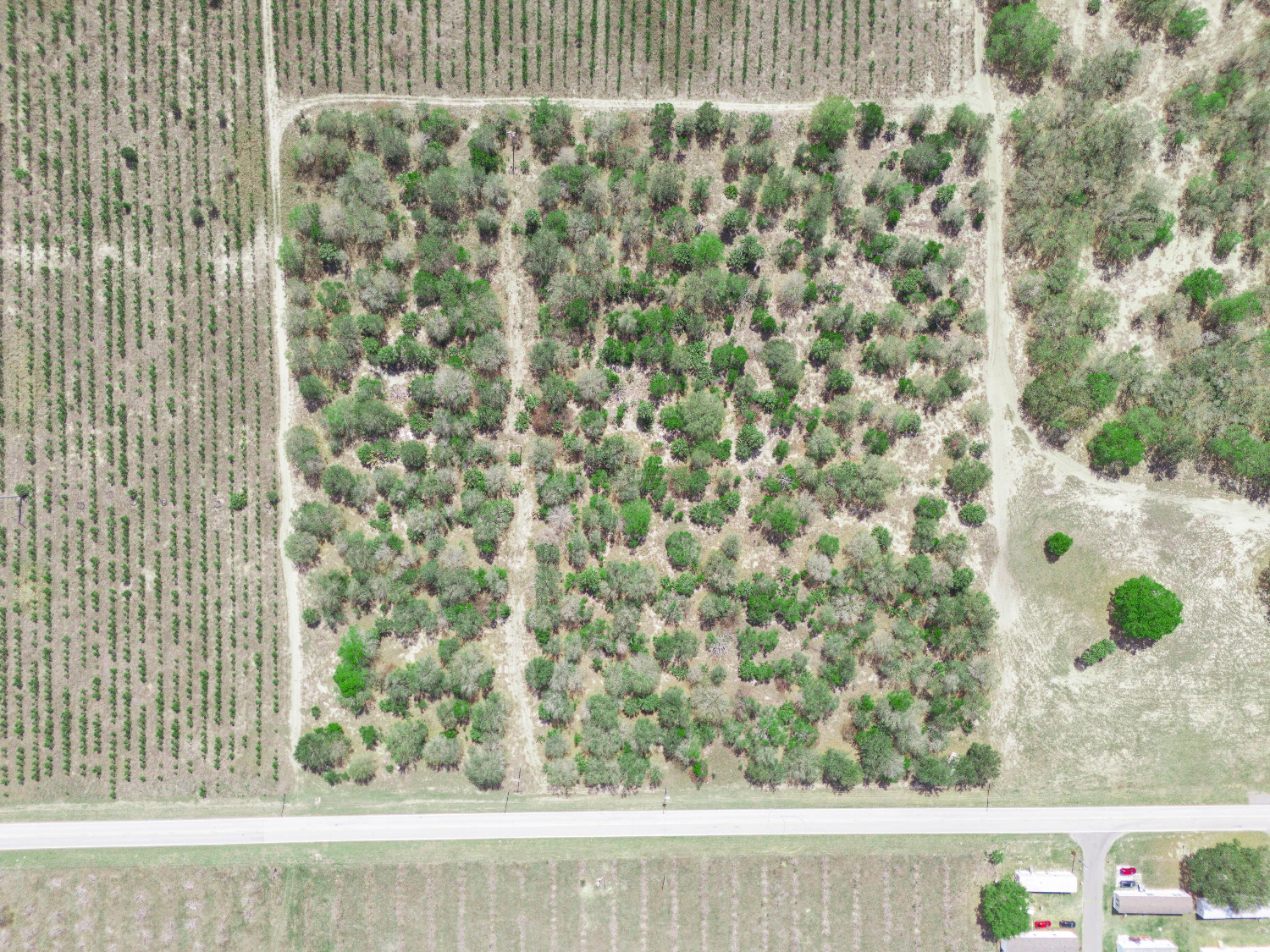 9.65± Acres on Friedlander Rd | Lake Wales- Polk County | Rural Homesite / Ag / Recreation