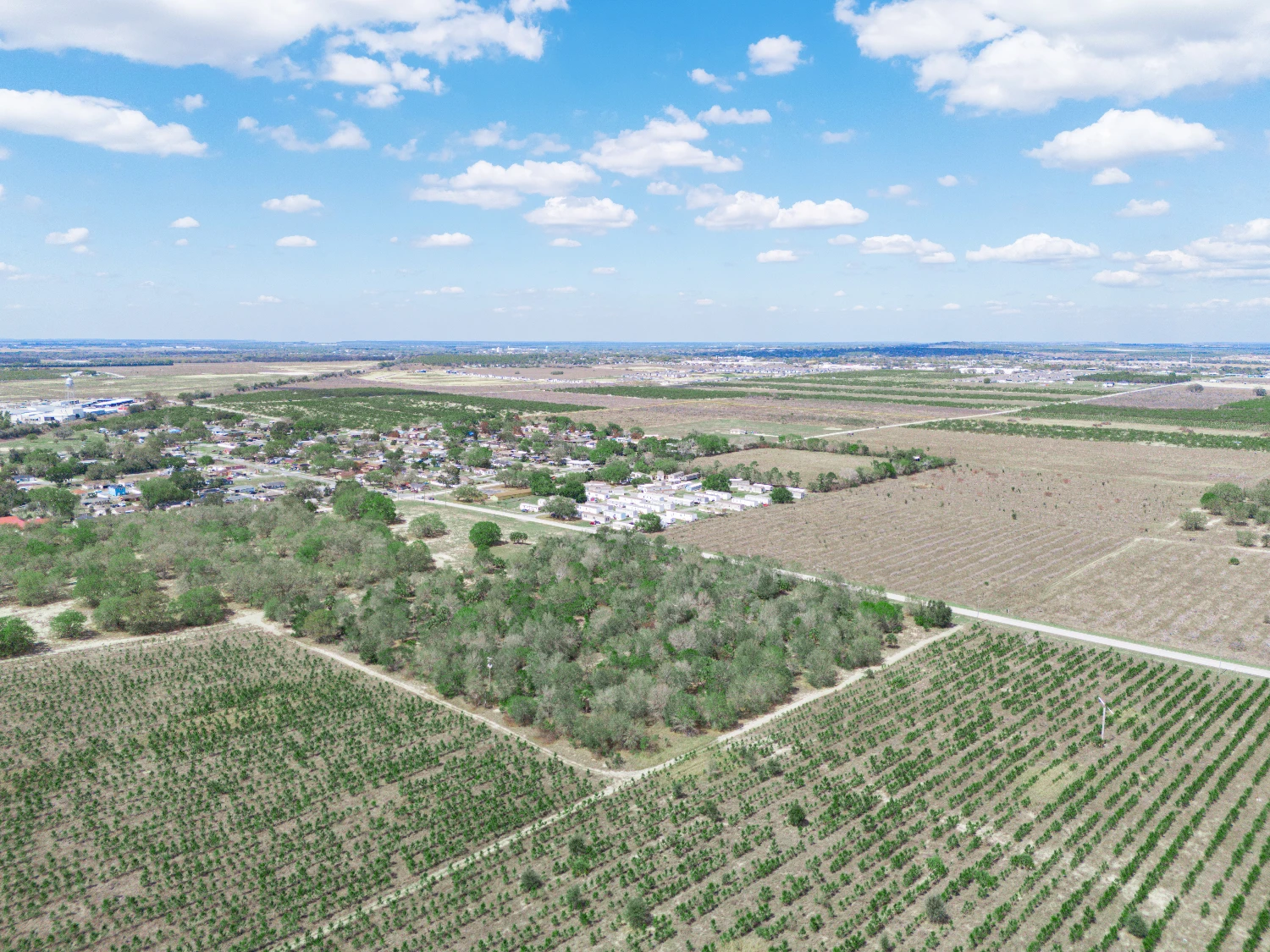 9.65± Acres on Friedlander Rd | Lake Wales- Polk County | Rural Homesite / Ag / Recreation