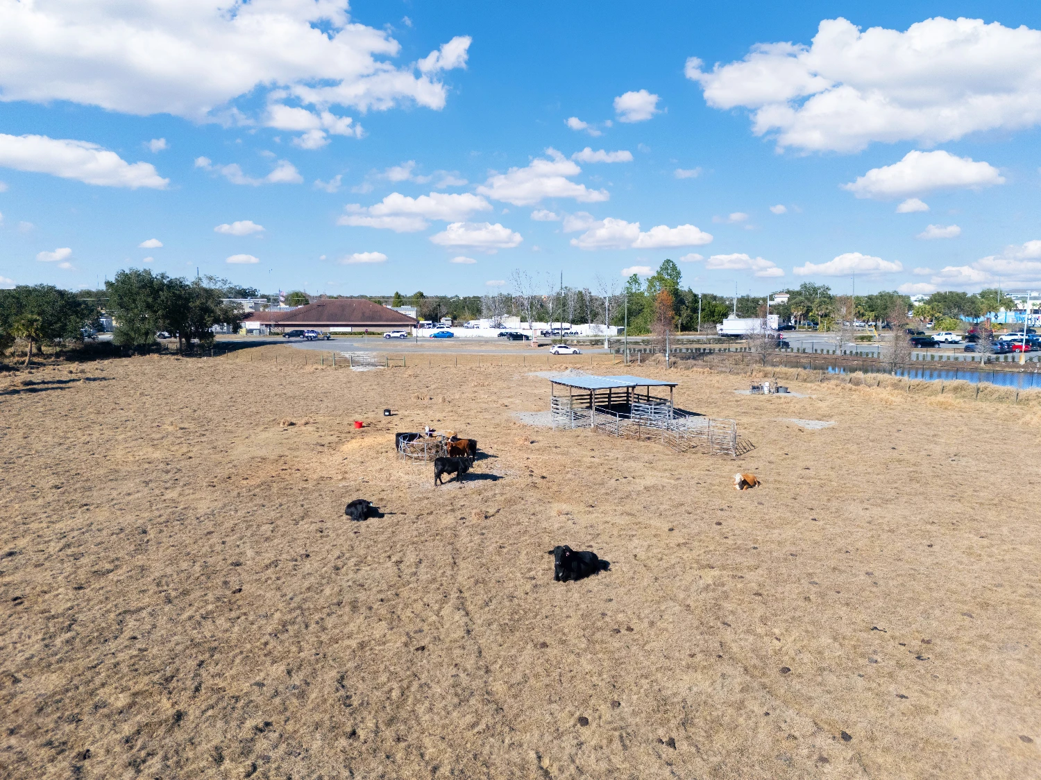 9± Acre Commercial Site Adjacent to ALDI | Signalized Corner Access | Lake Wales, FL