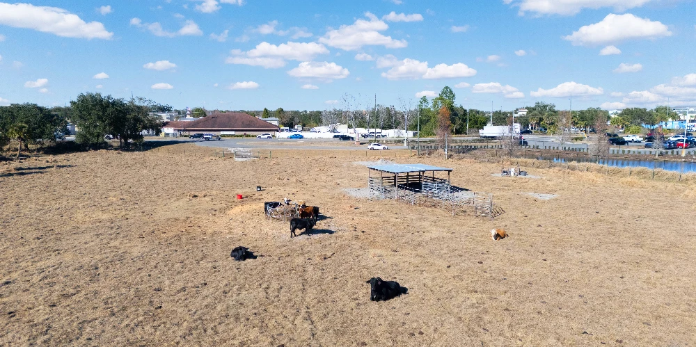 9± Acre Commercial Site Adjacent to ALDI | Signalized Corner Access | Lake Wales, FL