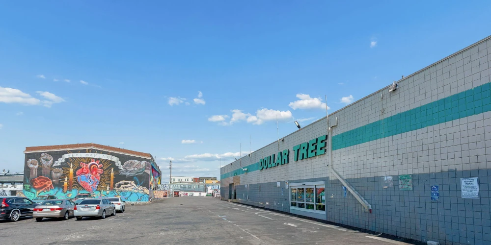 Dollar Tree