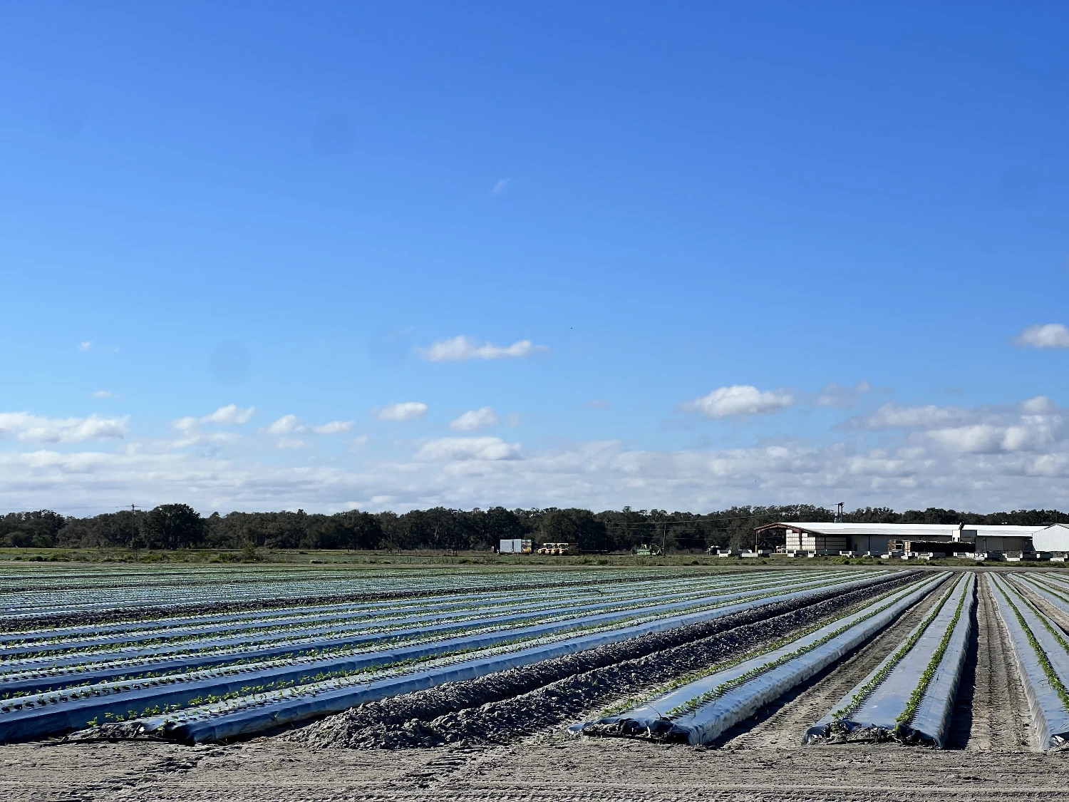 Hyatt Farms at Lake Kissimmee 1,660 +/- Acres