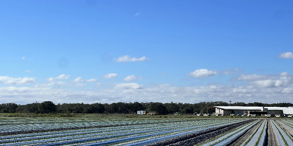 Hyatt Farms at Lake Kissimmee 1,660 +/- Acres
