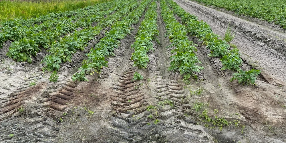 Hyatt Farms at Lake Kissimmee 1,660 +/- Acres
