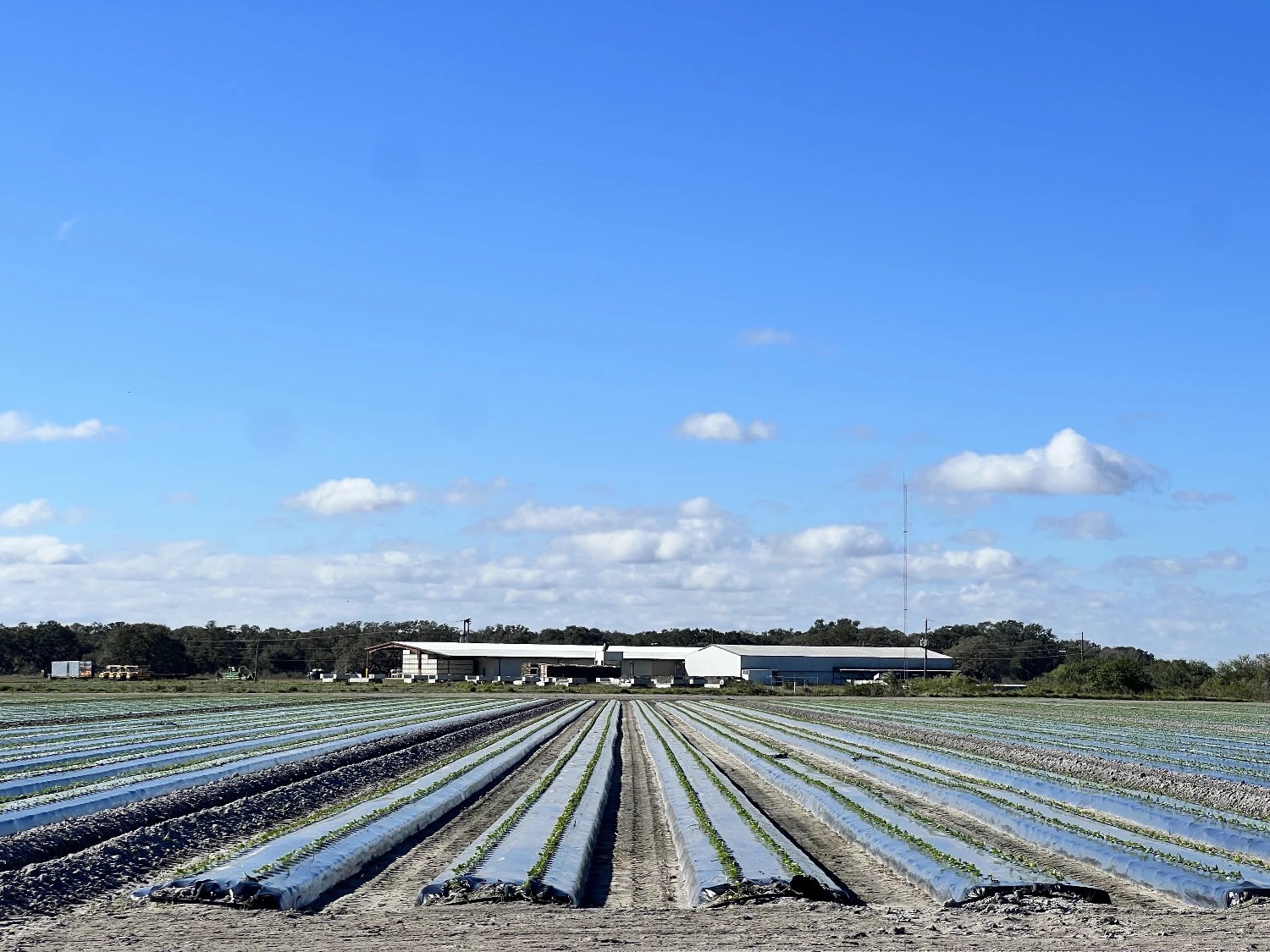 Hyatt Farms at Lake Kissimmee 1,660 +/- Acres