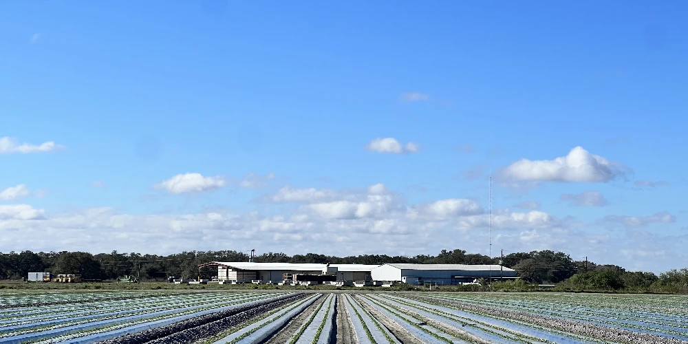 Hyatt Farms at Lake Kissimmee 1,660 +/- Acres