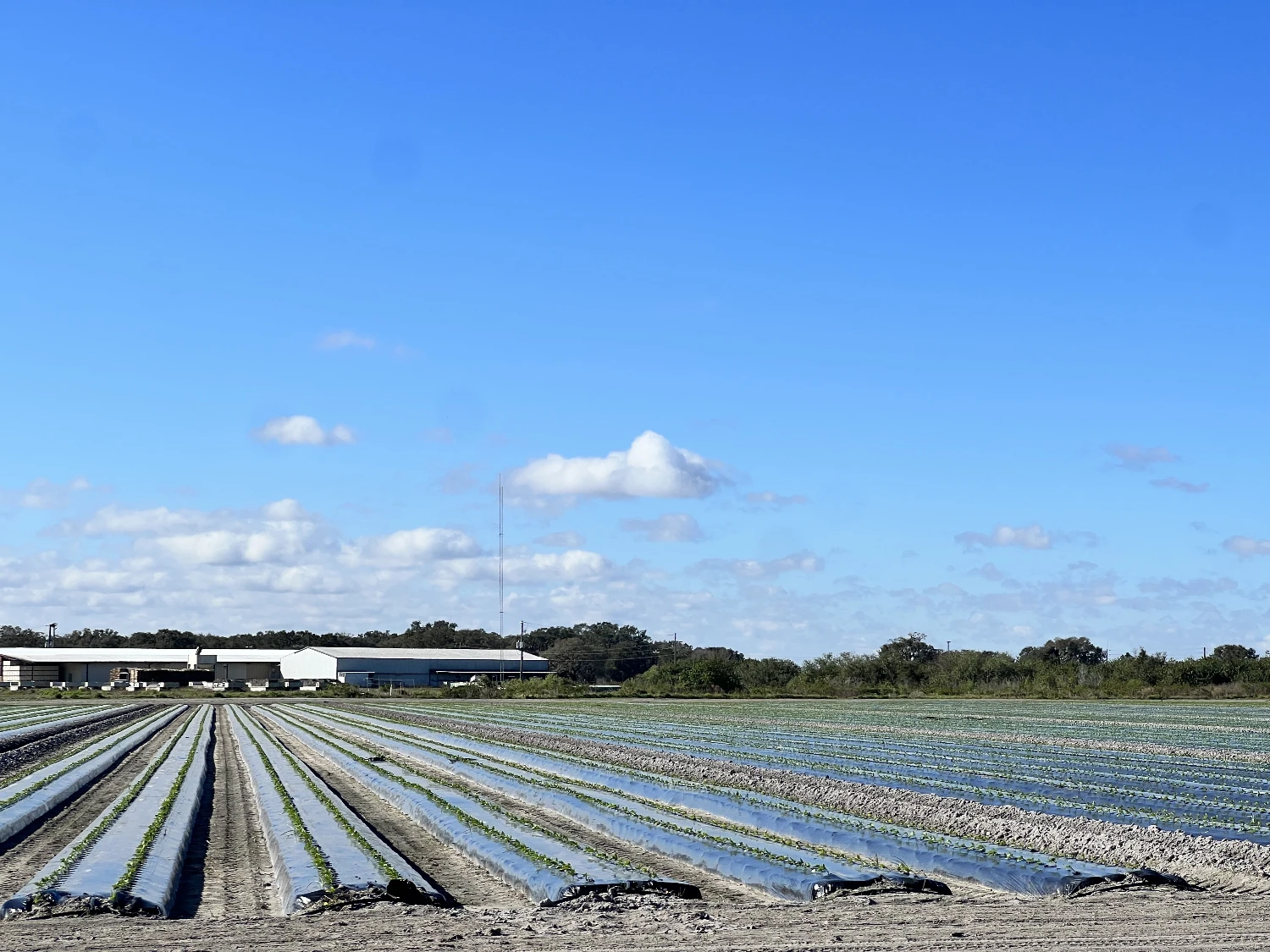 Hyatt Farms at Lake Kissimmee 1,660 +/- Acres