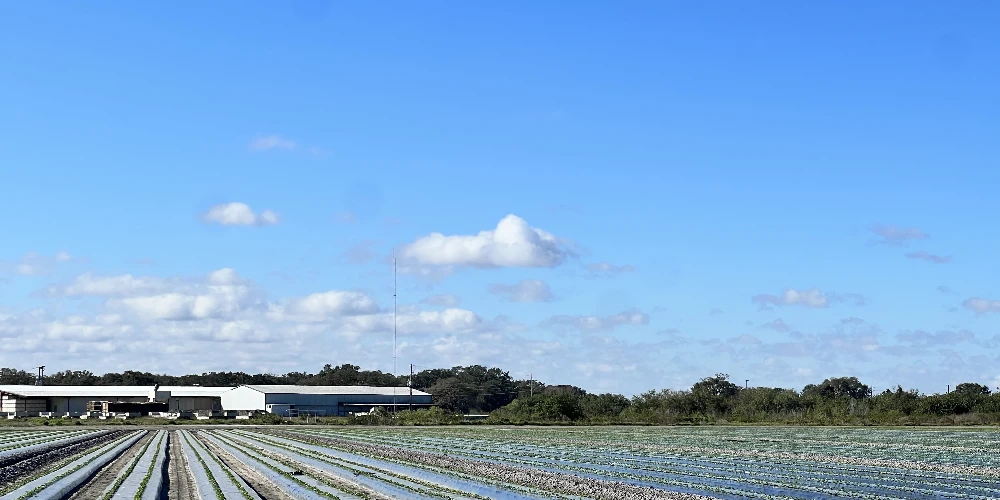 Hyatt Farms at Lake Kissimmee 1,660 +/- Acres