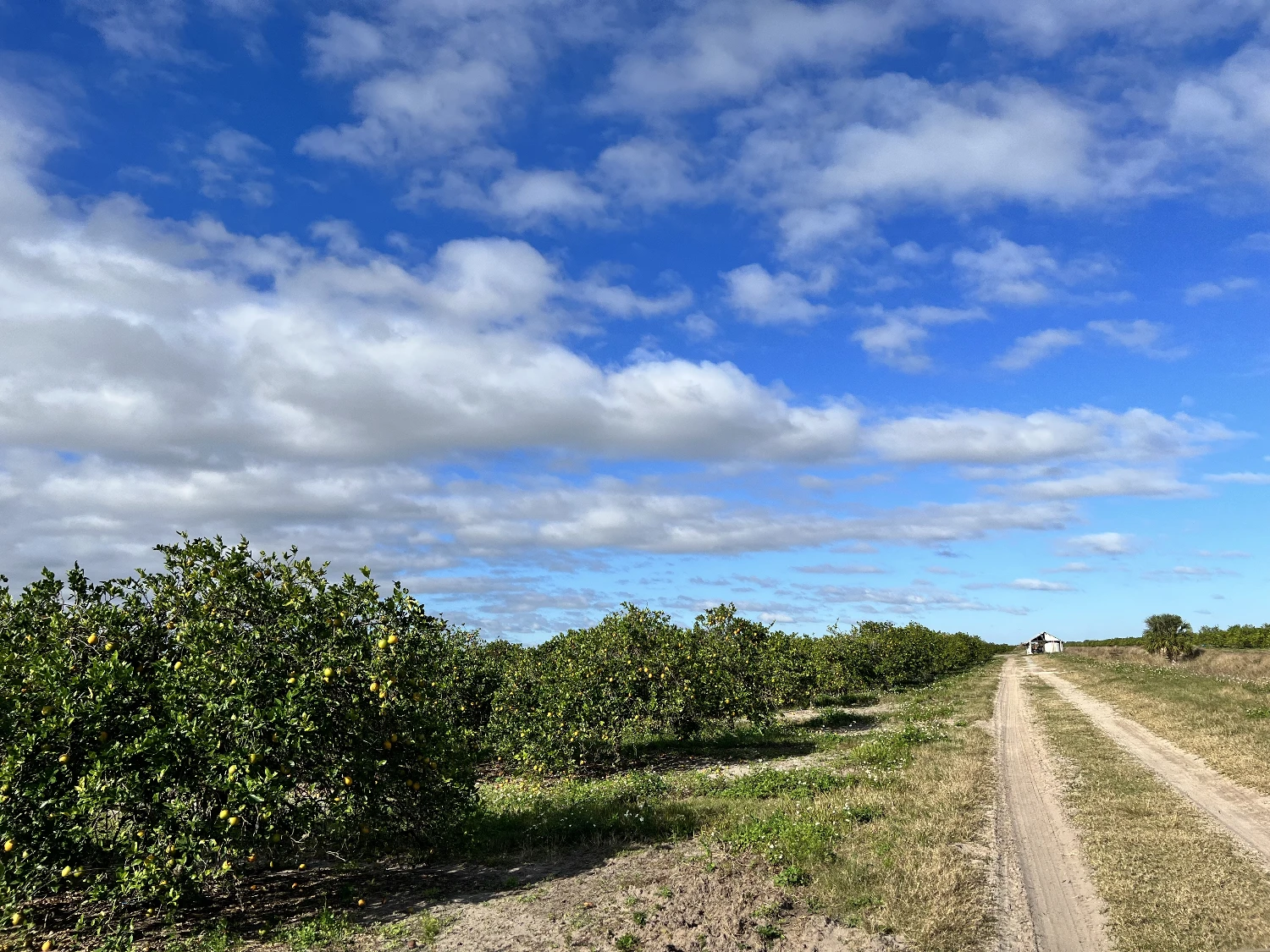Hyatt Farms at Lake Kissimmee 1,660 +/- Acres