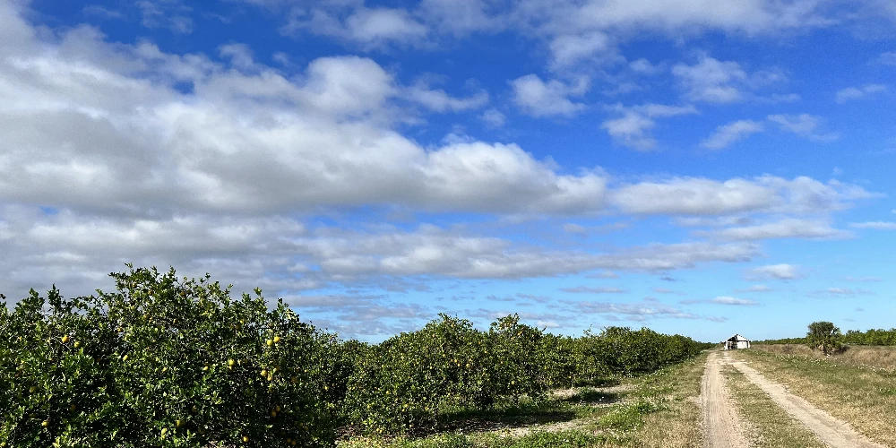 Hyatt Farms at Lake Kissimmee 1,660 +/- Acres
