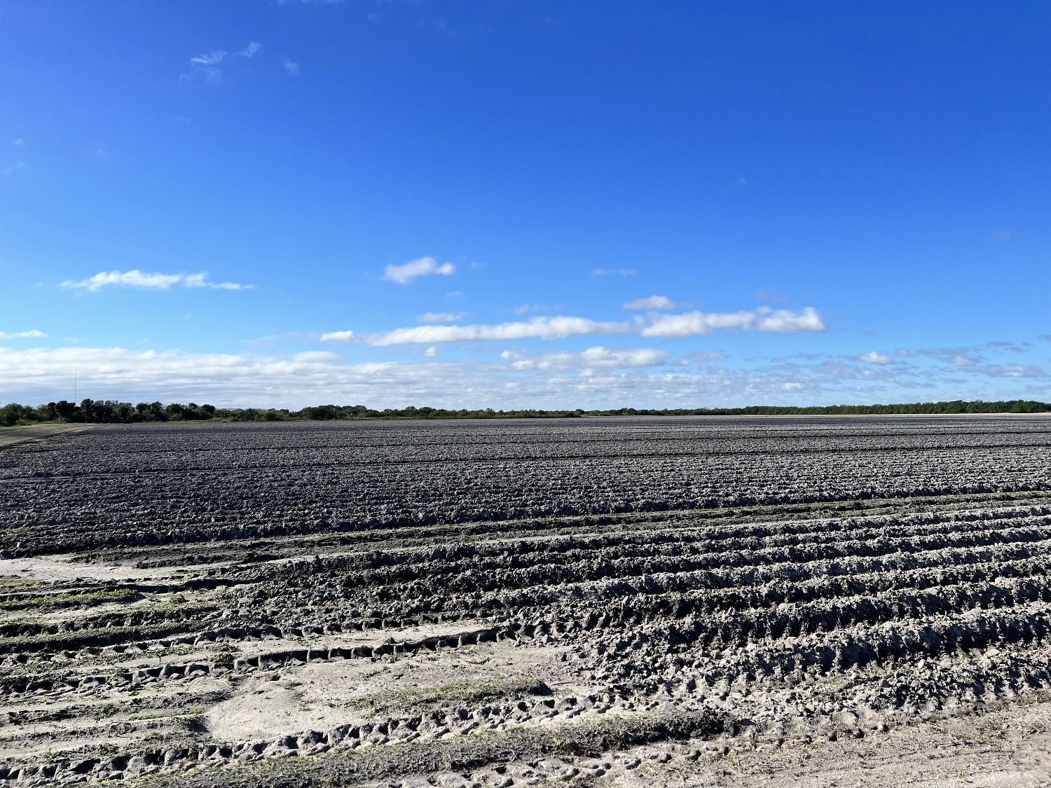 Hyatt Farms at Lake Kissimmee 1,660 +/- Acres