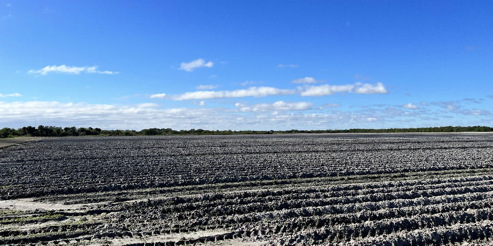 Hyatt Farms at Lake Kissimmee 1,660 +/- Acres