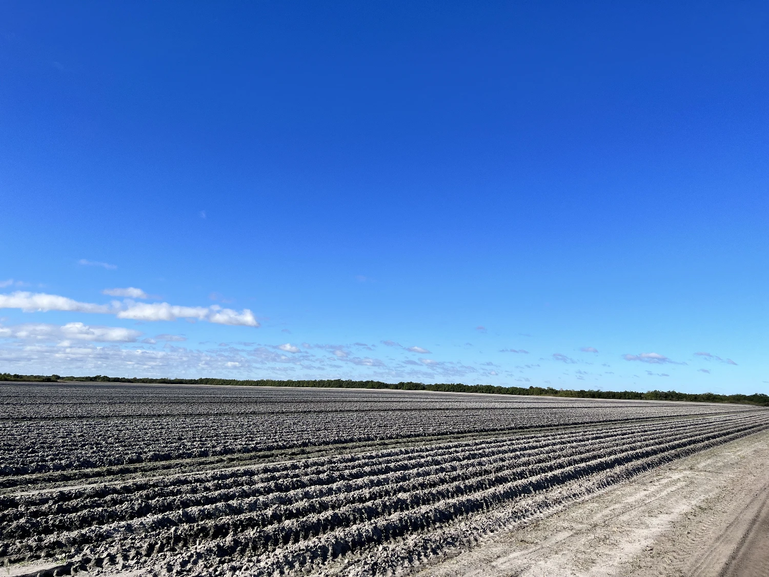Hyatt Farms at Lake Kissimmee 1,660 +/- Acres