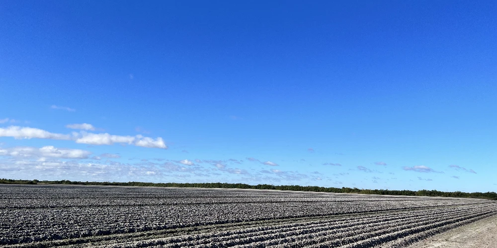 Hyatt Farms at Lake Kissimmee 1,660 +/- Acres