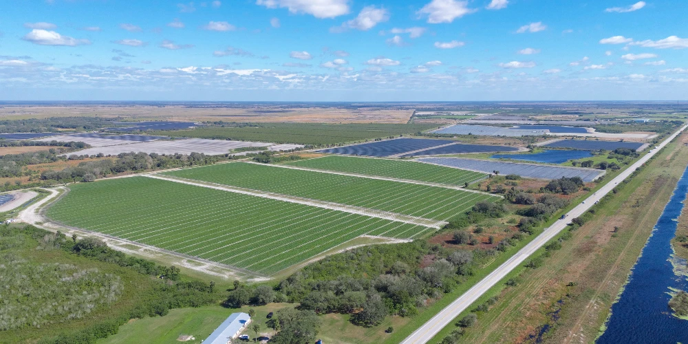 Hyatt Farms at Lake Kissimmee 1,660 +/- Acres