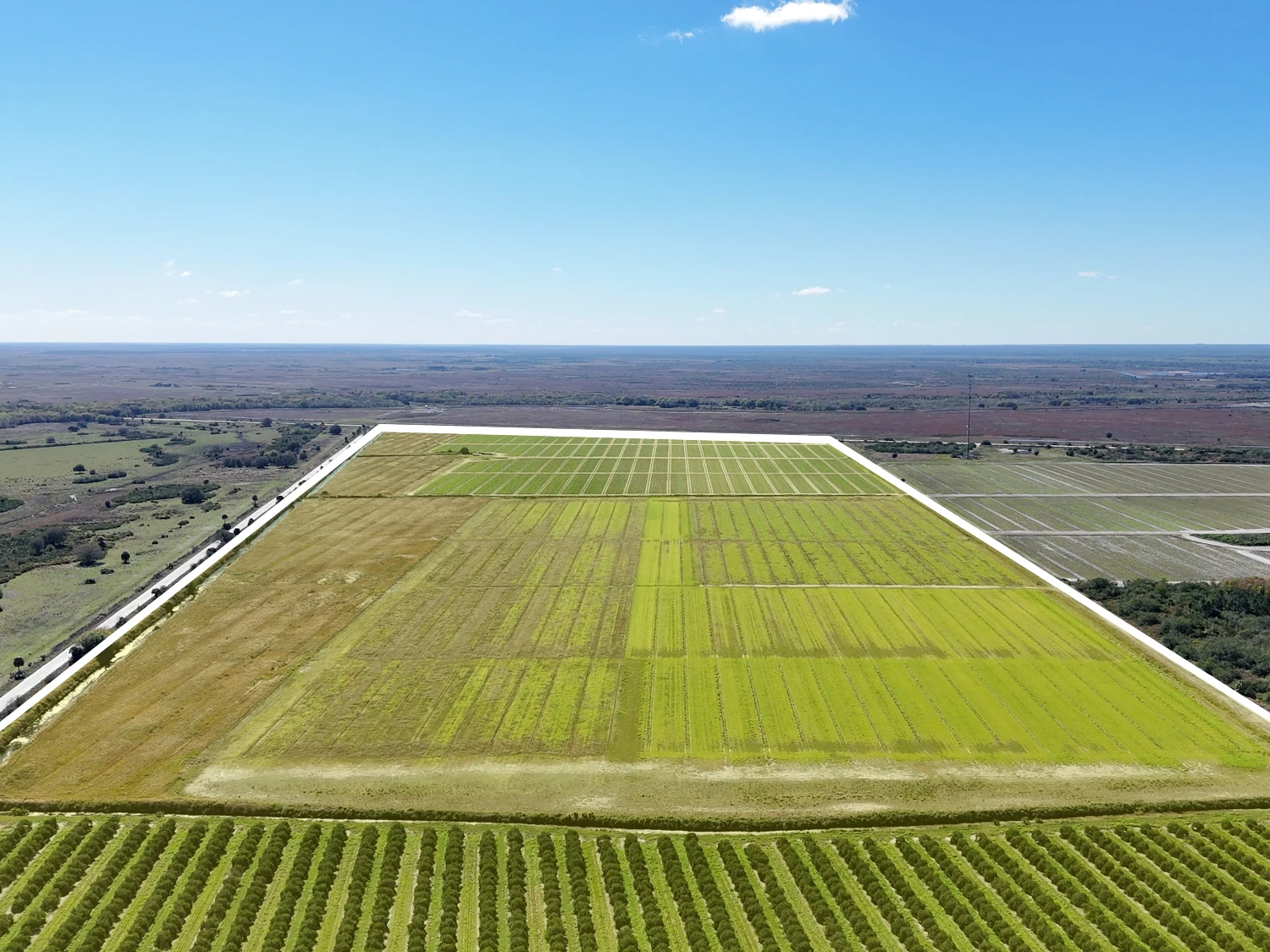 Hyatt Farms at Lake Kissimmee 1,660 +/- Acres