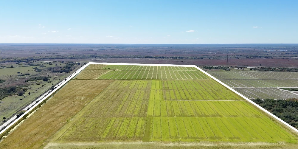 Hyatt Farms at Lake Kissimmee 1,660 +/- Acres