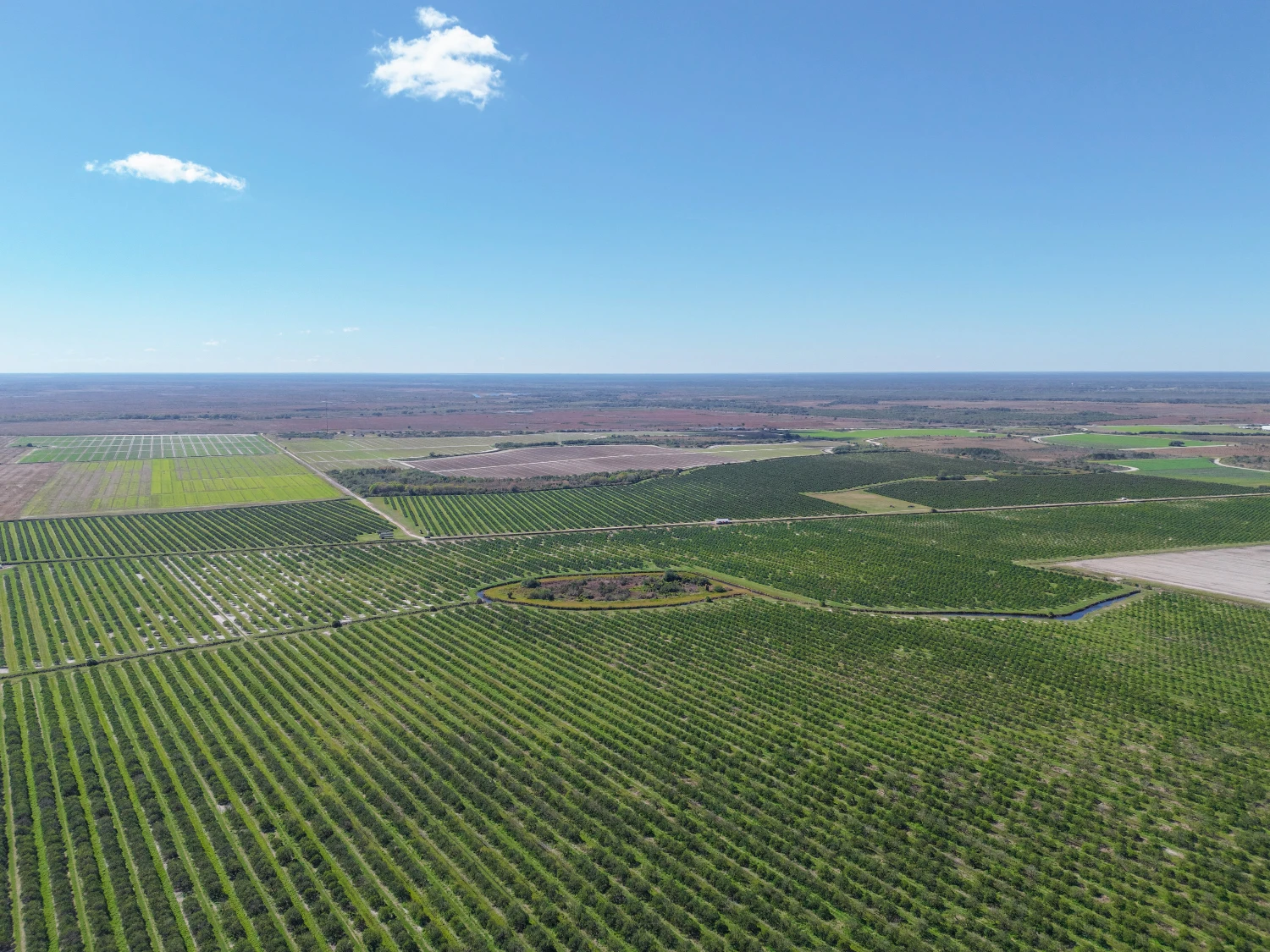 Hyatt Farms at Lake Kissimmee 1,660 +/- Acres