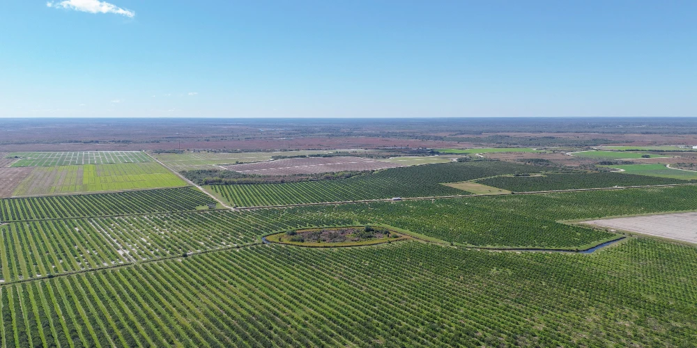 Hyatt Farms at Lake Kissimmee 1,660 +/- Acres