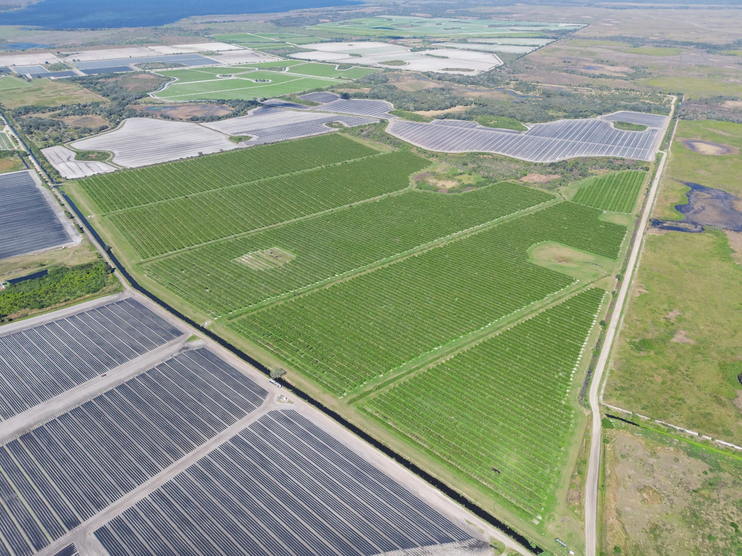 Hyatt Farms at Lake Kissimmee 1,660 +/- Acres