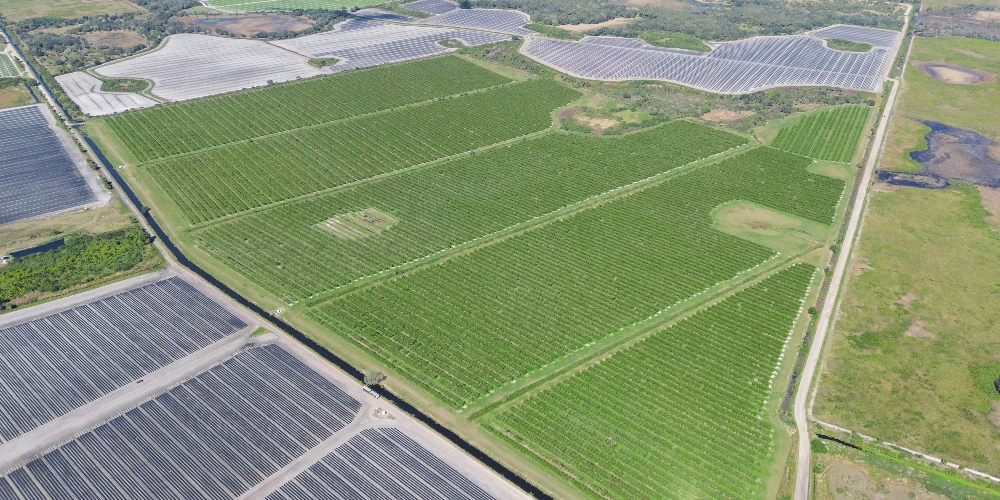 Hyatt Farms at Lake Kissimmee 1,660 +/- Acres