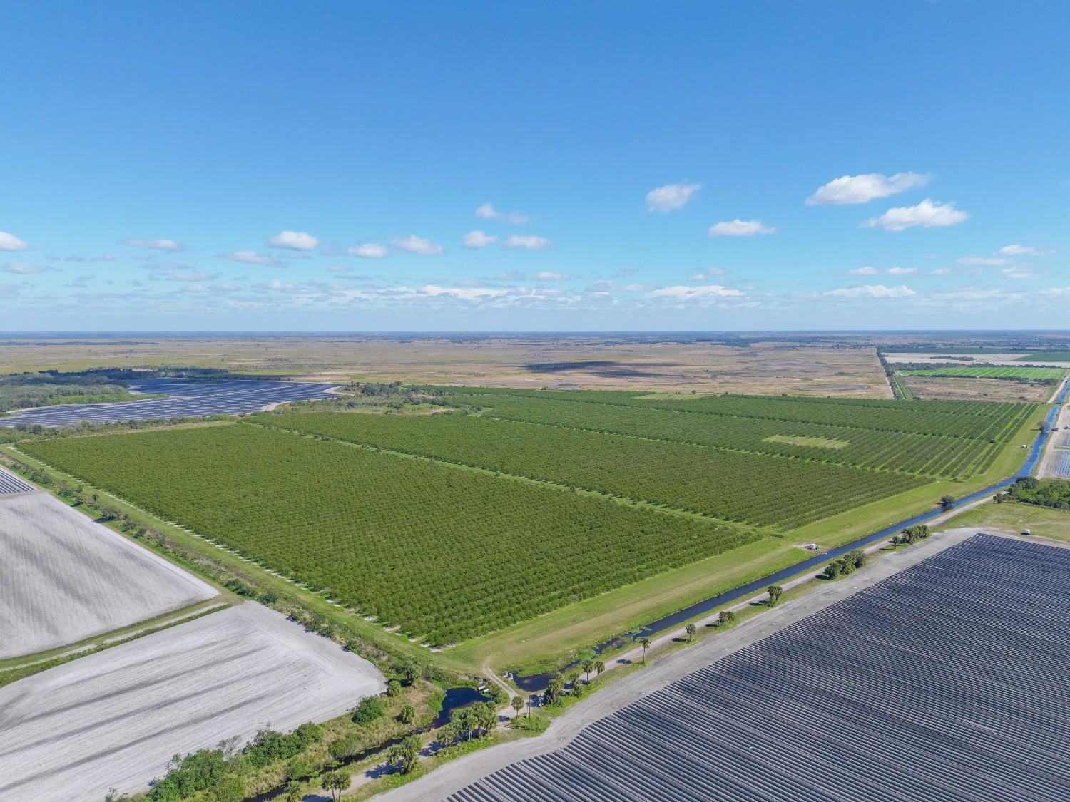 Hyatt Farms at Lake Kissimmee 1,660 +/- Acres