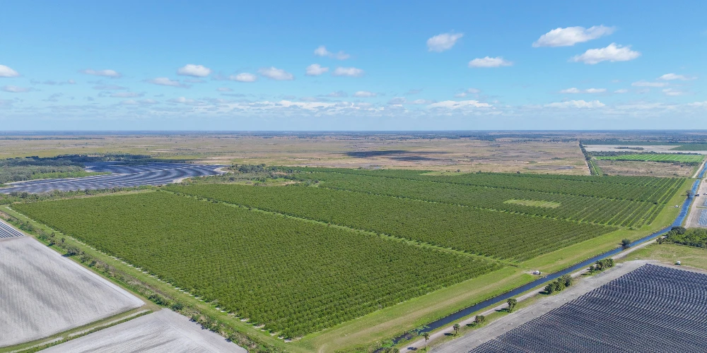 Hyatt Farms at Lake Kissimmee 1,660 +/- Acres