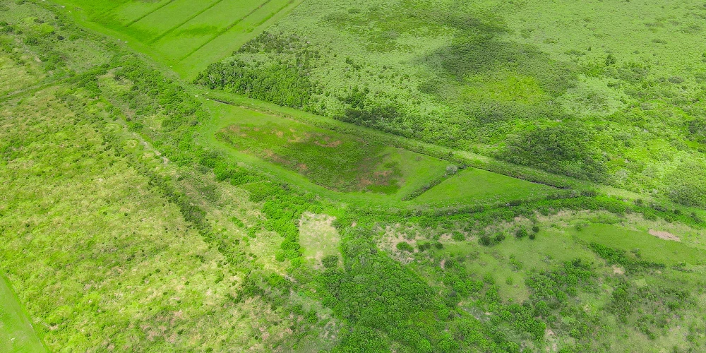Hyatt Farms at Lake Kissimmee 1,660 +/- Acres