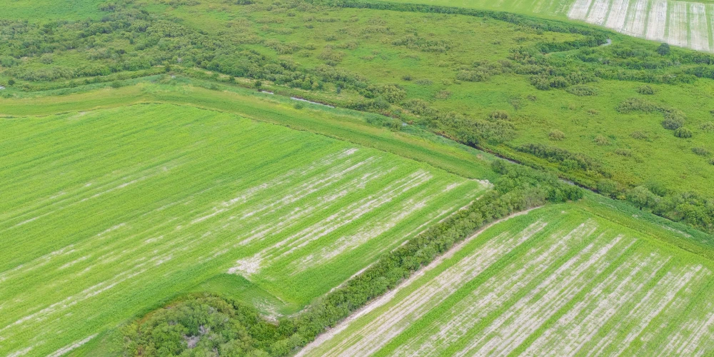 Hyatt Farms at Lake Kissimmee 1,660 +/- Acres