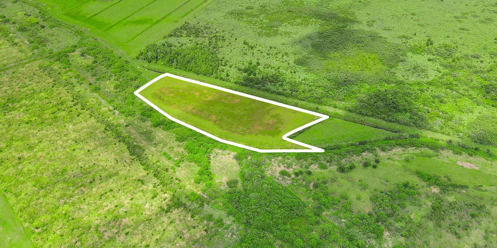 Hyatt Farms at Lake Kissimmee 1,660 +/- Acres