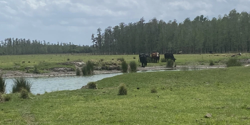JEH Ranch