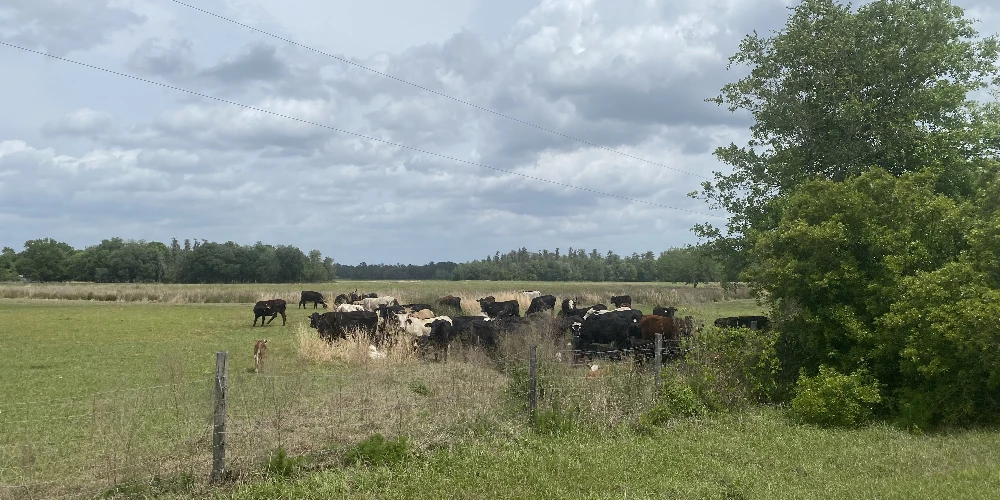 JEH Ranch