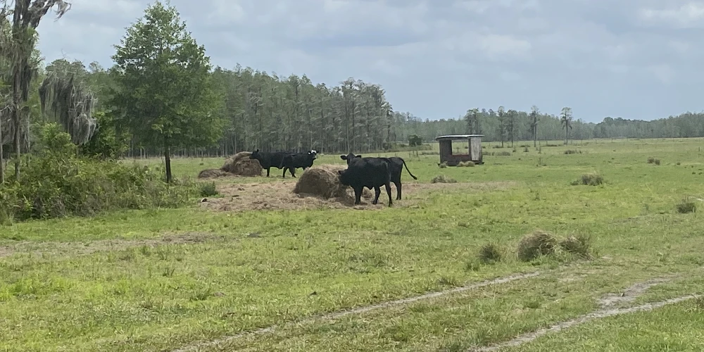 JEH Ranch