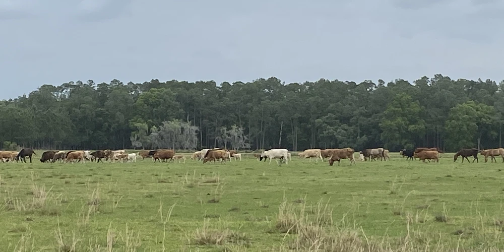 JEH Ranch